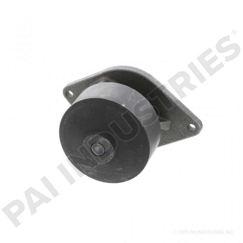 Salt 31rFj-tCuaL.jpg_BO30,255,255,