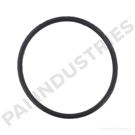 PAI 136095 CUMMINS 3954829 THERMOSTAT SEAL (ISB / QSB) | woodlineparts.com
