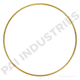 PACK OF 6 PAI 161998 CUMMINS 3054947 LINER SHIM (0.0195