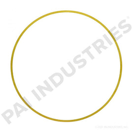 PACK OF 6 PAI 162001 CUMMINS 3019956 LINER SHIM (.008