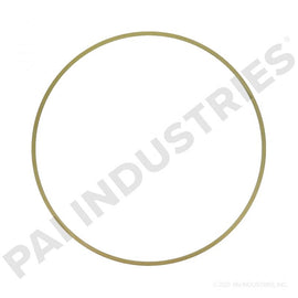 PACK OF 6 PAI 162004 CUMMINS 3019959 LINER SHIM (.032