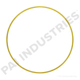 PACK OF 6 PAI 162005 CUMMINS 3019960 LINER SHIM (.062