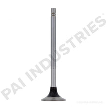Cargar imagen en el visor de la galería, PACK OF 2 PAI 191955 CUMMINS 145701 EXHAUST VALVE (855) (STELLITE) (ITALY)