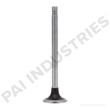PACK OF 2 PAI 191956 CUMMINS 3040830 EXHAUST VALVE (855) (ITALY)