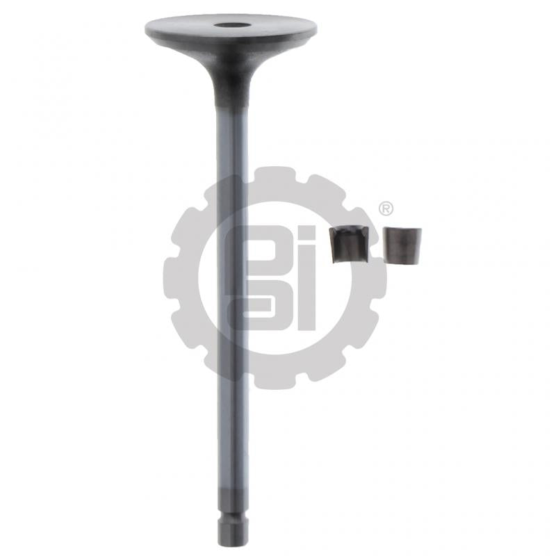 PACK OF 2 PAI 192168 CUMMINS 3802481 EXHAUST VALVE KIT (4B / 6B) (GAS) (USA)