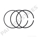 PAI 405038 NAVISTAR 1876099C91 PISTON RING SET (DT466E / DT570) (USA)