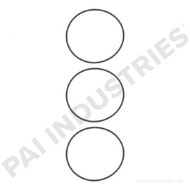 PAI 421204 NAVISTAR 1809938C91 CYLINDER LINER O-RING KIT (DT360) (USA)