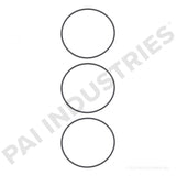 PAI 421204 NAVISTAR 1809938C91 CYLINDER LINER O-RING KIT (DT360) (USA)