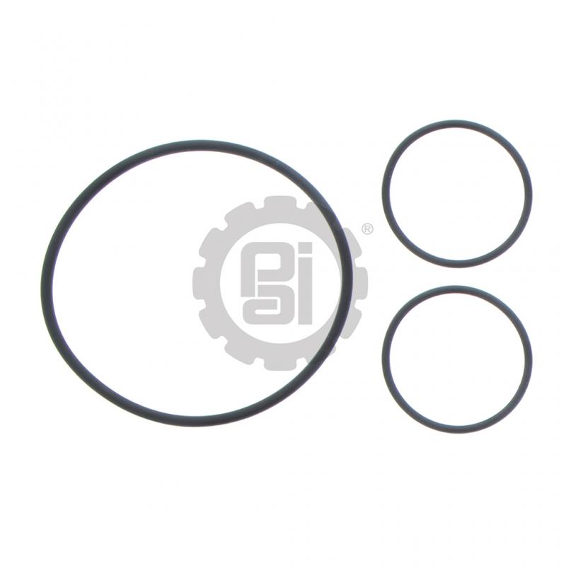 PAI 450526 NAVISTAR 1878042C92 FUEL FILTER KIT (DT466E / DT530E / DT570) (USA)