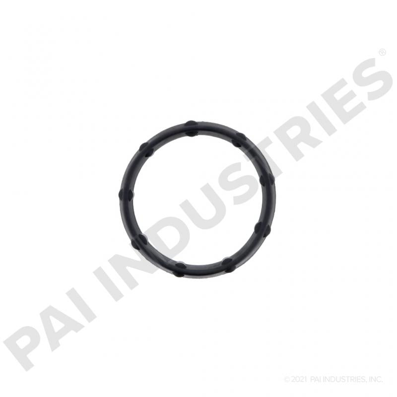 PACK OF 2 PAI 431388 NAVISTAR 1876994C1 COOLER GASKET (DT466E / DT570)