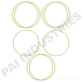 PAI 462030 NAVISTAR 1823356C91 CYLINDER LINER SHIM KIT (DT466 / DT530) (USA)