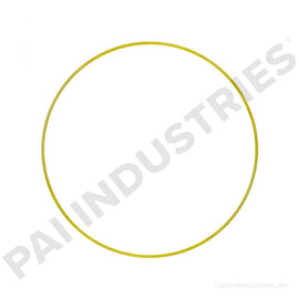 PACK OF 6 PAI 462031 NAVISTAR 1823120C1 CYLINDER LINER SHIM (.002)