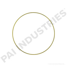 Cargar imagen en el visor de la galería, PACK OF 6 PAI 462032 NAVISTAR 1823121C1 LINER SHIM (.004) (USA)