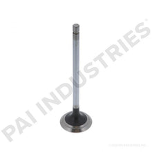Load image into Gallery viewer, PACK OF 2 PAI 491005 NAVISTAR 1824838C1 EXHAUST VALVE (5/16" STEM) (ITALY) | woodlineparts.com