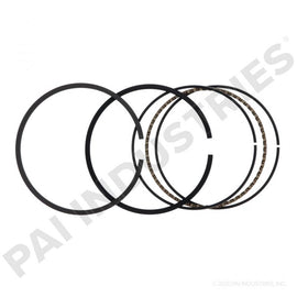 PAI 505185 CUMMINS 4025290 PISTON RING SET (6CTA 8.3) (GAS) (4089351)