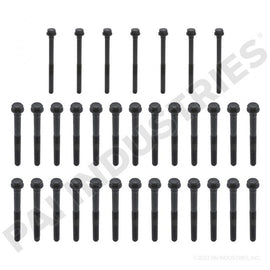PAI 700112 CYLINDER HEAD BOLT KIT FOR PETERBILT PACCAR MX13