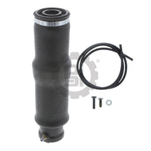 Charger l&#39;image dans la galerie, PAI 803720 MACK 800-6222086001 SEAT AIR SPRING KIT (10.50&quot; L) (M8 X 1.25)