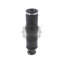 Charger l&#39;image dans la galerie, PAI 803720 MACK 800-6222086001 SEAT AIR SPRING KIT (10.50&quot; L) (M8 X 1.25)