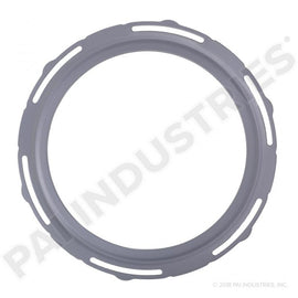 PACK OF 2 PAI 831025 MACK & VOLVO 20841816 OIL / EGR COOLER GASKET | woodlineparts.com