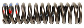Interstate-McBee® Detroit Diesel® A4720530420 Intake Valve Spring (DD15)