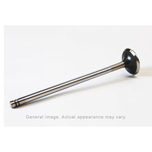 Load image into Gallery viewer, IPD® Caterpillar® 1196772 Exhaust Valve (3200 Series) | woodlineparts.com