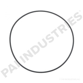PACK OF 10 PAI BGA-3000 MACK 56AX415 O-RING (6.484