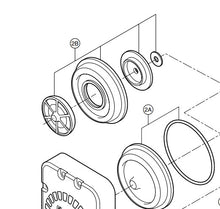 Load image into Gallery viewer, FloJet® 21000-209 Diaphragm Kit (Viton) (G-57 Series Air Driven Pumps) | woodlineparts.com