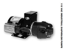 Load image into Gallery viewer, Jabsco® 31801-0115 Industrial Diaphragm Pump 115V
