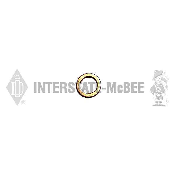 Interstate-McBee® Bosch® 2916710608 Washer