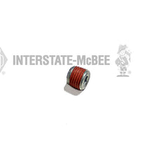 Charger l&#39;image dans la galerie, Interstate-McBee® Cummins® 3008466 Pipe Plug (1/4&quot;-18) (S-901)