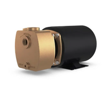 Charger l'image dans la galerie, Oberdorfer® 300BP-30M36BJT Centrifugal Pump 3PH 3/4HP | woodlineparts.com