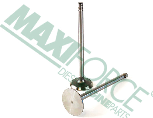 MaxiForce® John Deere® R26124 Intake Valve (Std) (4.270 / 6.404) | woodlineparts.com