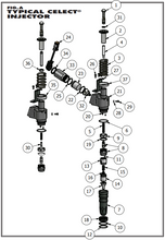 Load image into Gallery viewer, Typical Celect Injector Parts Exploded View | woodlineparts.com