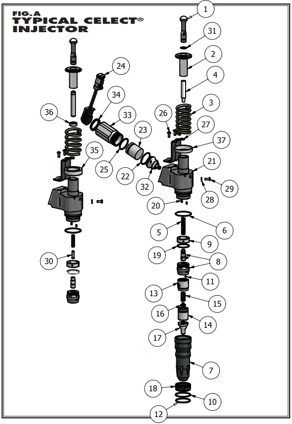Typical Celect Injector Parts Exploded View | woodlineparts.com