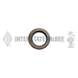 Interstate-McBee® Cummins® 200307 Fan Hub Oil Seal (855 / N14)