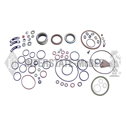Interstate-McBee® Stanadyne® 33702 Overhaul Kit (DB4) (Target P)