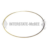 Interstate-McBee® 3924447 Liner Shim (.020
