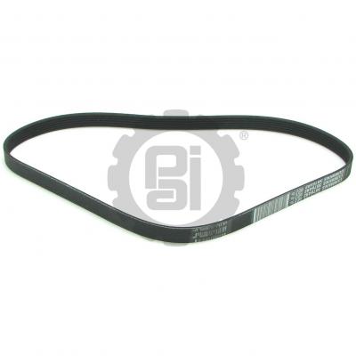 PAI 050488 CUMMINS 3076492 SERPENTINE BELT (855 / N14) (K060425) (USA ...