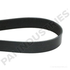 PAI 050497 CUMMINS 3911557 SERPENTINE BELT (56.09