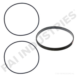 PAI 121201 CUMMINS AR51477 LINER O-RING KIT (855 / N14) (3800174) (USA)