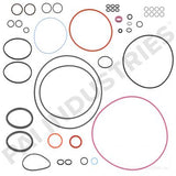 PAI 131597-200 O-RING KIT FOR CUMMINS L10E / M11 / ISM ENGINES (USA)