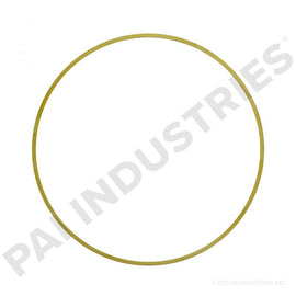 PACK OF 6 PAI 161999 CUMMINS 3054949 LINER SHIM (.0215