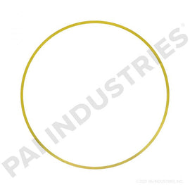 PACK OF 6 PAI 162000 CUMMINS 3019955 LINER SHIM (.007