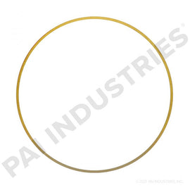 PACK OF 6 PAI 162007 CUMMINS 3066843 LINER SHIM (.018