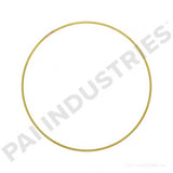 PACK OF 6 PAI 162008 CUMMINS 3065406 LINER SHIM (.020 / .040) (855 / N14) (USA)