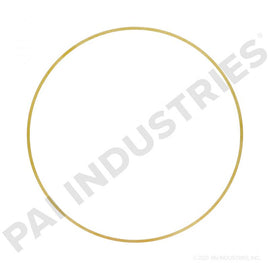PACK OF 6 PAI 162009 CUMMINS 3924448 LINER SHIM (.015