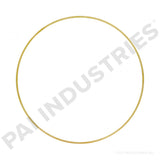 PACK OF 6 PAI 162009 CUMMINS 3924448 LINER SHIM (.015