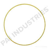 PACK OF 6 PAI 162011 CUMMINS 3034663 LINER SHIM (.20MM / .008