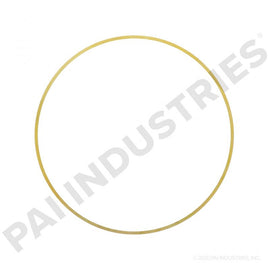 PACK OF 6 PAI 162012 CUMMINS 3066844 LINER SHIM (.022
