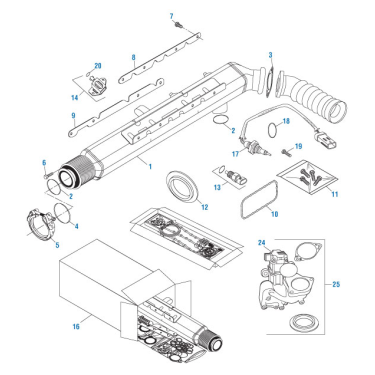 PACK OF 2 PAI 131675 CUMMINS 3104230 EGR VALVE GASKET (ISX) (3101917)